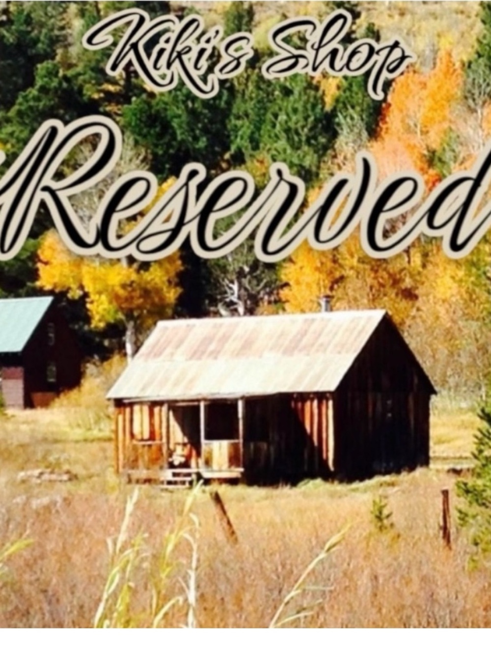 RESERVED DO NOT PURCHASE 
My Texas House Bronze Bunny
Set of 3